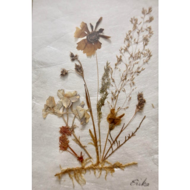 Vintage Erika Originals Swiss Pressed Botanical Flower Art, Pair — Matted & Framed Alpine Wildflowers For Sale - Image 4 of 10