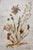 Vintage Erika Originals Swiss Pressed Botanical Flower Art, Pair — Matted & Framed Alpine Wildflowers For Sale - Image 4 of 10