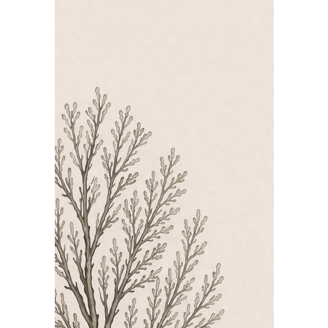 Delicate Coral Study, Minimalist Coastal Botanical Art Print, 24" × 36" Reproduction For Sale - Image 9 of 10