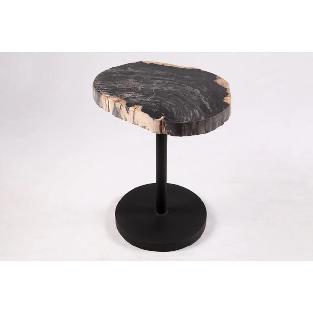 2020s Living Edge Petrified Wood Top W Black Metal Stand Accent Table or Side Table 53 For Sale - Image 5 of 5