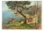 Oil on wooden panel realized in the 1970s. Hand signed. Titled and signed on rear. Good condition.