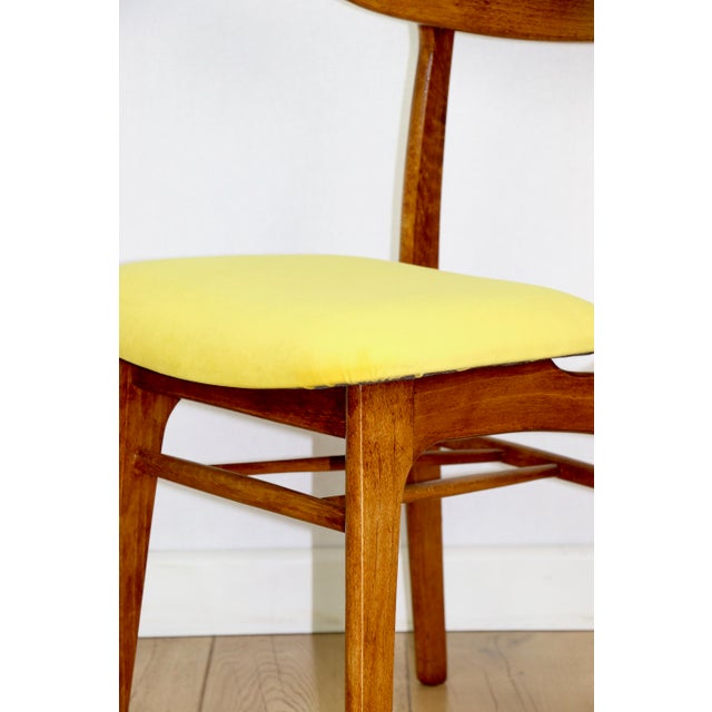 Vintage Yellow Chairs from Hałas, 1970s, Set of 4 For Sale - Image 9 of 12
