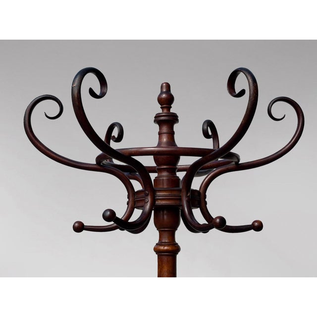 Bentwood Hat and Coat Stand from Fischel, 1890s For Sale - Image 10 of 11