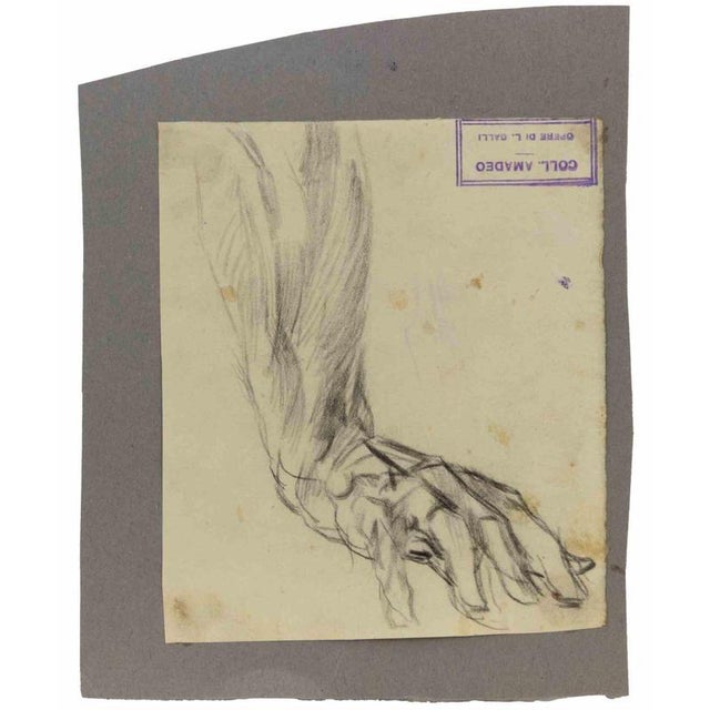 Anatomical studies is an original artwork realized by Luigi Galli in the late 19th Century. Pencil drawing on paper. The...