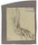 Anatomical studies is an original artwork realized by Luigi Galli in the late 19th Century. Pencil drawing on paper. The...