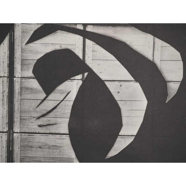 Pablo Picasso, Daytime, The Goat with the Packing Crate, Original Phototype For Sale - Image 5 of 6