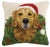 A festive way to spruce up your home for the holidays and winter season! 100% wool hooked throw pillow / accent pillow....