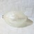 Murano Silver Foil Conch Shell For Sale In New York - Image 6 of 8