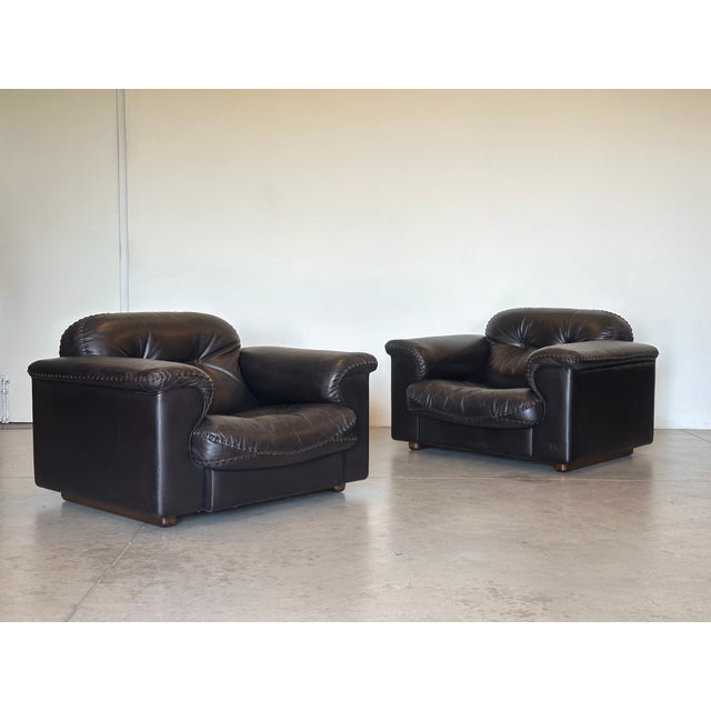 Leather Model DS 101 Armchairs from de Sede, 1970s, Set of 2 For Sale - Image 13 of 13