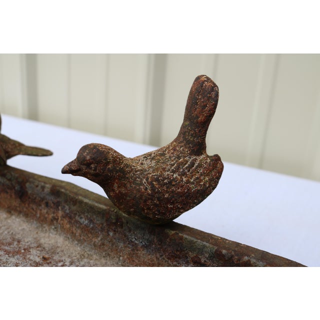 Metal Early 20th Century French Cast Iron Small Bird Bath/Feeder For Sale - Image 7 of 11