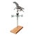 Farmhouse Early 20th Century American Copper Thoroughbred Horse Weathervane For Sale - Image 3 of 16