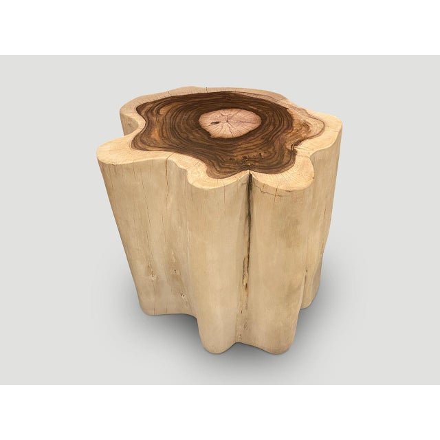 Contemporary Andrianna Shamaris Rare Sono Wood Oversized Side Table or Pedestal For Sale - Image 3 of 18