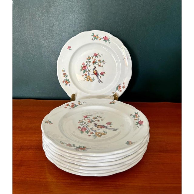 French Dinner Plates with Peacock Pattern / Iron Earth / Ironstone from Sarreguemines, 1900s, Set of 6 For Sale - Image 4 of 8