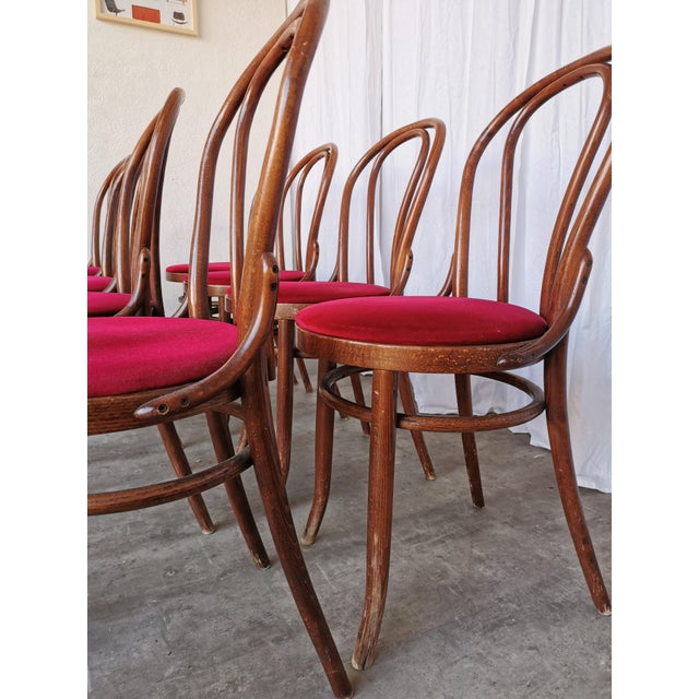 Vintage Bentwood Bistro Chairs, 1970s, Set of 8 For Sale - Image 13 of 18
