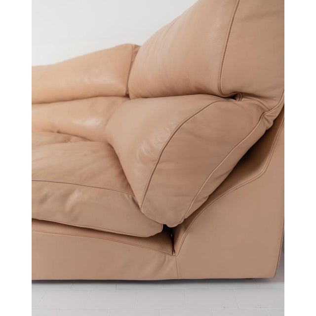 Vintage Love Seat by Tito Agnoli for Poltrona Frau, 1970s For Sale - Image 10 of 12