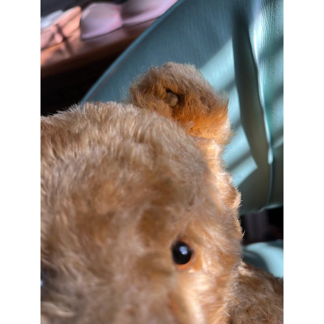 English 1940s Steiff Bear, Made in Germany For Sale - Image 3 of 12