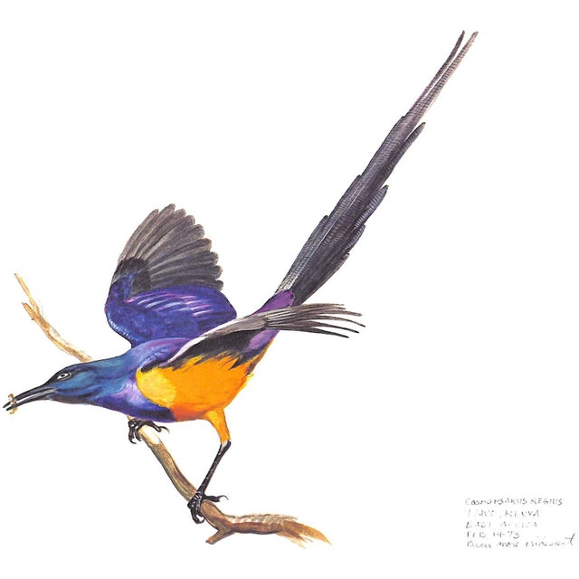 "Ray Harm's African Sketchbook" 1973 Harm, Ray For Sale - Image 10 of 12