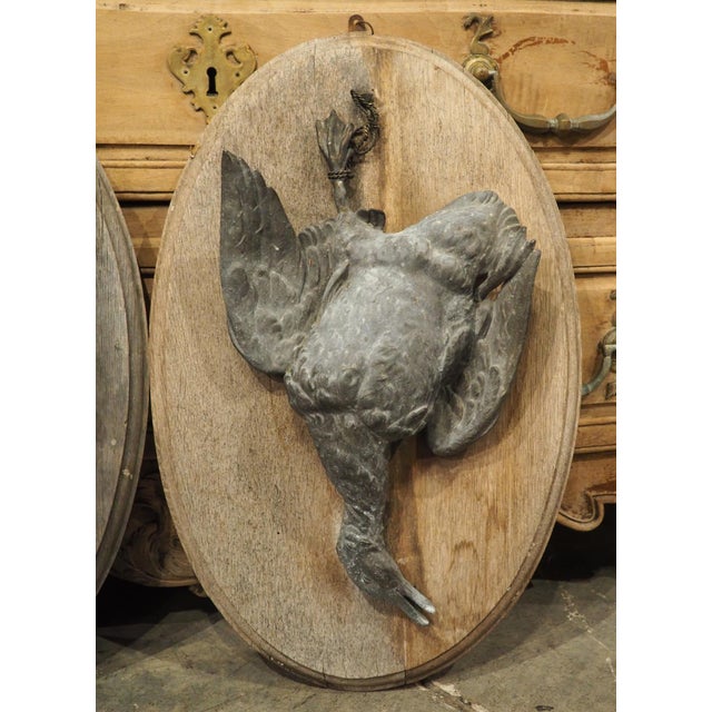 French Pair of Circa 1890 Weathered French Hunt Trophies on Natural Oak Oval Panels For Sale - Image 3 of 18