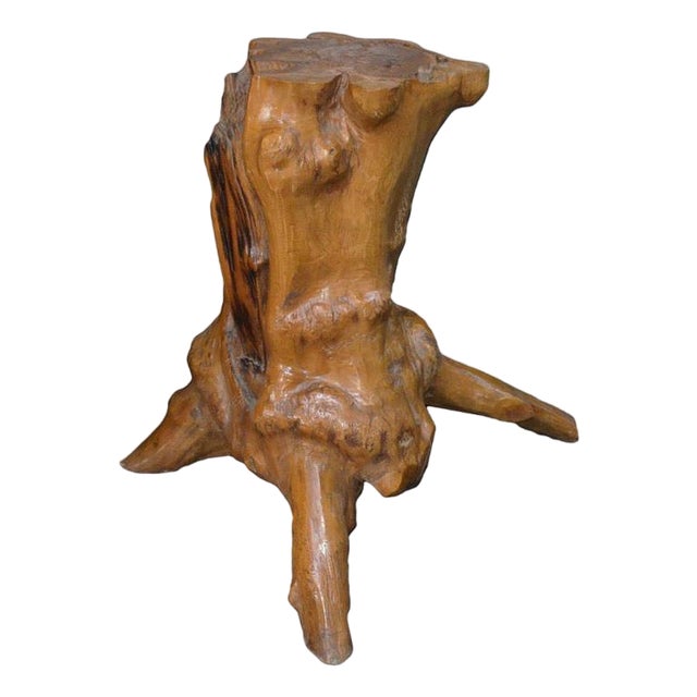 Andrianna Shamaris Organic Teak Root Side Table For Sale