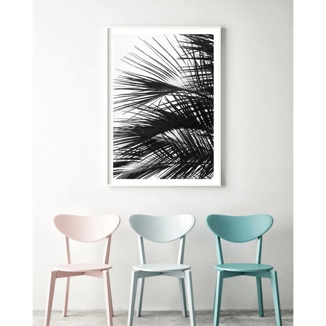 Contemporary Minimalist Palm Tree Art Print, Large Tropical Coastal Wall Art, Black and White 24 X 36" Photography Print, 'Palm Fronds' For Sale In Boston - Image 6 of 9