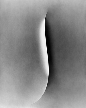 Ugne Pouwell, Papercut No.5, 2026, Analogue Black and White Still Life Photography, Limited 20