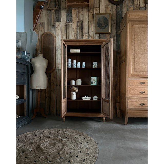 Tan Antique Library with Wire Mesh Doors, 1890s For Sale - Image 8 of 16