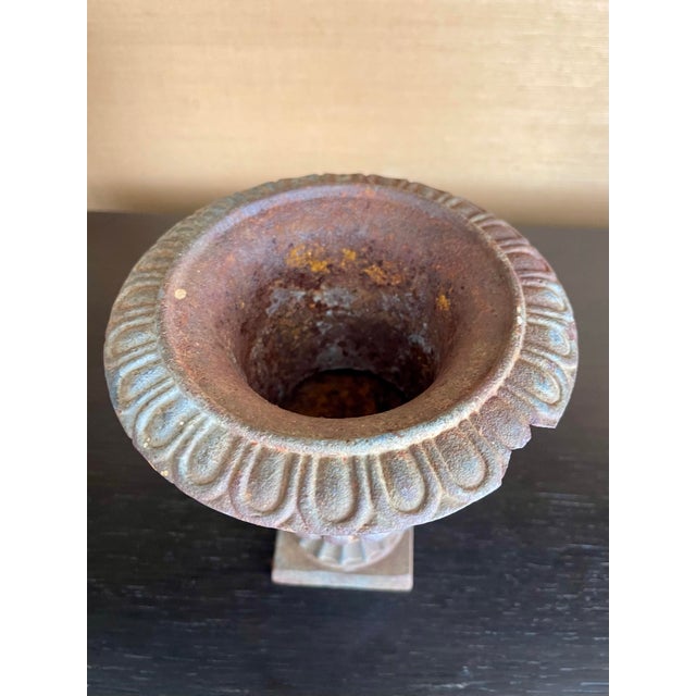 Early 20th Century Timeworn Cast Iron Urn in Classical Pedestal Form For Sale - Image 9 of 12