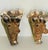Gorgeous pair of vintage giraffe head wall brackets encrusted with sea shells.