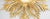 1950s Vintage French Giltwood Sunburst Convex Mirror, 1950s For Sale - Image 5 of 8