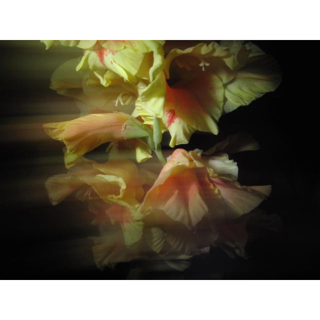 Contemporary Abstract Fine Art Flower Photography Print For Sale