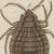 Bertuch, Magnified Insect Larvae and Small Moths, 1805, Print For Sale - Image 9 of 12