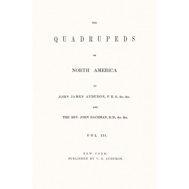 Realism 1854 Audubon Quadruped Octavo Lithograph "Plate 121 Artic Fox" For Sale - Image 3 of 4