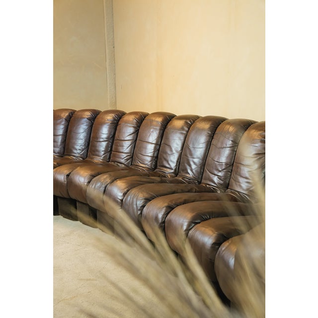 DS600 Non-Stop Snake Sofa in Brown Leather by Ueli Berger for de Sede, 1970s, Set of 16 For Sale - Image 16 of 18