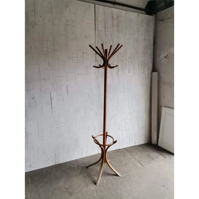 Brown Hungarian Standing Coat Rack from Thonet, 1930s For Sale - Image 8 of 8