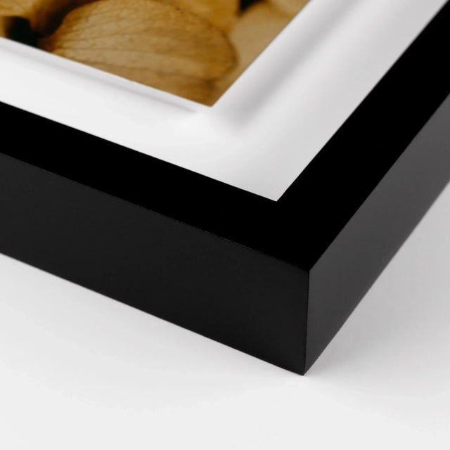 Untitled by Annie Spratt Contemporary Photograph in Black Frame Overall Size: 31x40 Frame Color: Black