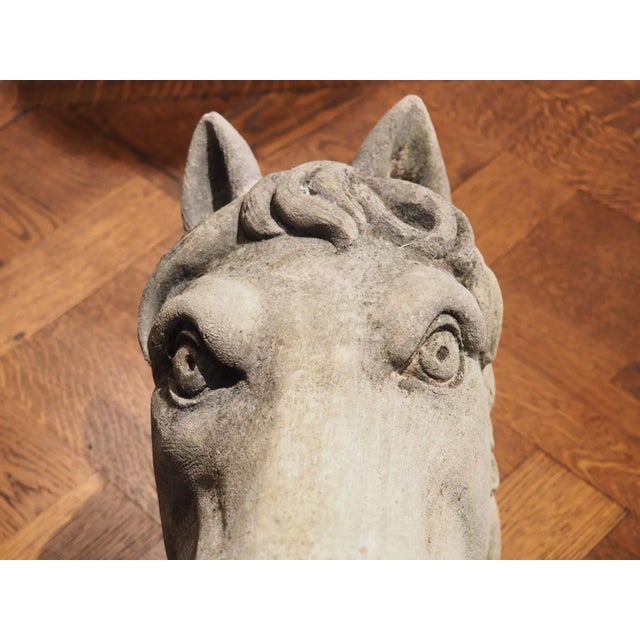 Gray Carved Limestone Horsehead From Italy For Sale - Image 8 of 13
