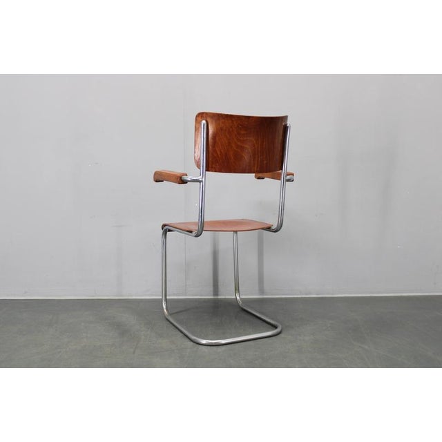 Gold Bauhaus Cantilever Armchair in Chrome Tubular Steel and Beech, 1930s For Sale - Image 8 of 18