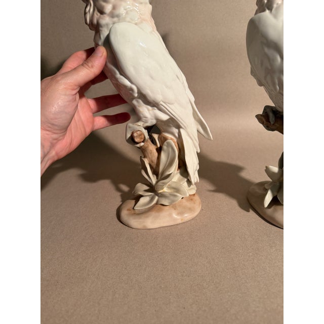 Very Large Royal Dux Porcelain Pair of Cockatoos For Sale In New York - Image 6 of 11