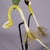 Mid-Century Modern 19th Century Botanic Model by Robert Brendel - Bean Seedling For Sale - Image 3 of 11