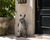 Vintage Cast Iron Anthropomorphic Gentleman Dandy Mouse Garden Statue For Sale - Image 9 of 12
