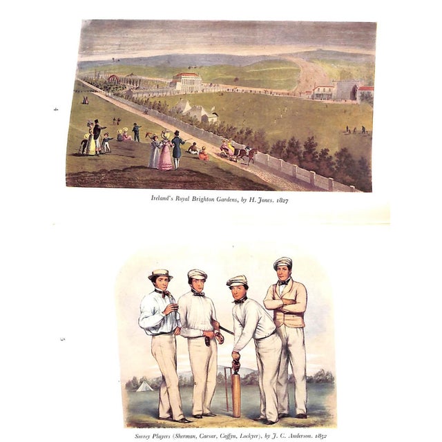 "The Picture of Cricket" Book 1955 Arlott, John For Sale - Image 12 of 12