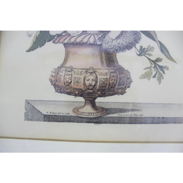 Antique Coloured Botanical Illustration Engraving Antique Wood and Plaster Frame Floral French Art For Sale - Image 11 of 11