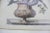 Antique Coloured Botanical Illustration Engraving Antique Wood and Plaster Frame Floral French Art For Sale - Image 11 of 11