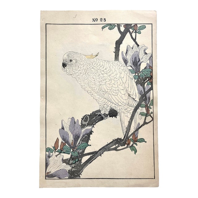 Late 19th Century Imao Keinen, "Lily Magnolia and Cockatoo," First-Edition Antique Japanese Woodblock Print For Sale