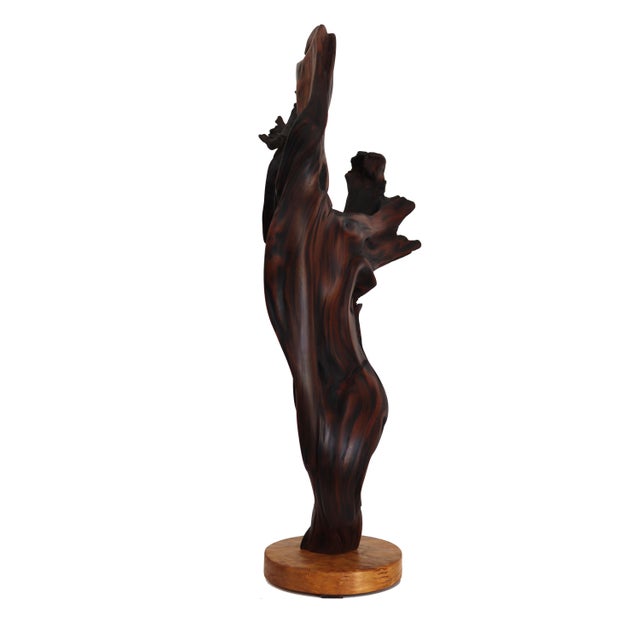 Wood Deep Roots - Elegant Organic Abstract Redwood Sculpture With Maple Base Original Artwork by Joe Garnero For Sale - Image 7 of 10