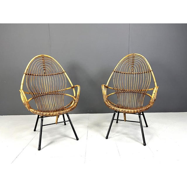 Pair of elegant rattan lounge chairs with a fine lacquered metal base. Beautiful organic shape. Netherlands - 1960s...
