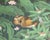 Textile Painting of a Lotus Pond With Birds by W. Kuparyadi For Sale - Image 7 of 8