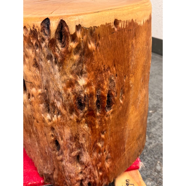 Organic Modern Live Edge Tree Side Table/ Stool For Sale - Image 10 of 12