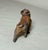 Antique Miniature Cold Painted Solid Lead Bulldog Dog Figure Statue Figurine For Sale In New York - Image 6 of 9