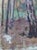 1970s Impressionist Forest Oil Painting, Ukrainian Artist Sokolovsky, 1970s 30-23 For Sale - Image 5 of 6
